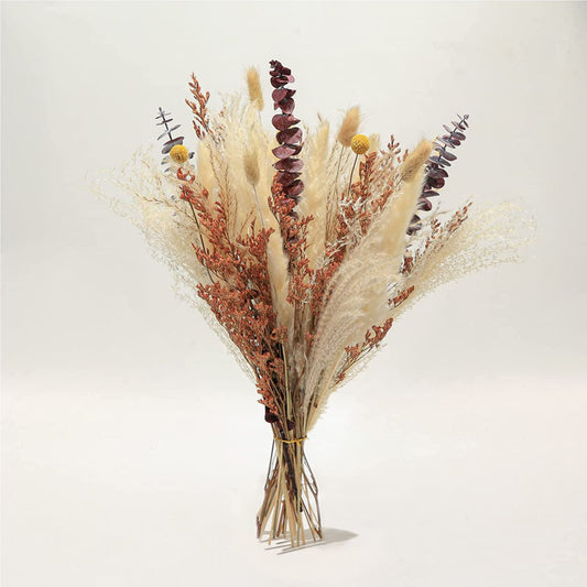 Trockenblumenstrauß Natural Earth mit Pampasgras und Eukalyptus