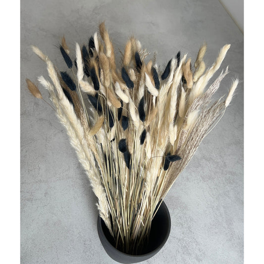Trockenblumenstrauß „Modern Contrast“ – Lagurus, Phalaris & Gräser