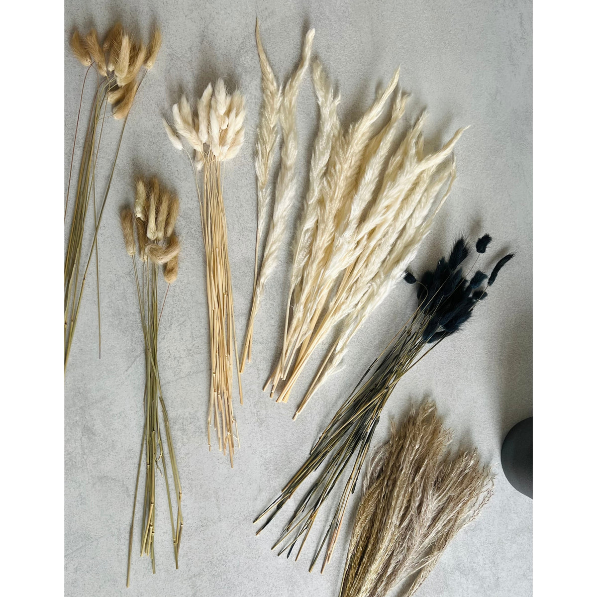 Trockenblumenstrauß „Modern Contrast“ – Lagurus, Phalaris & Gräser
