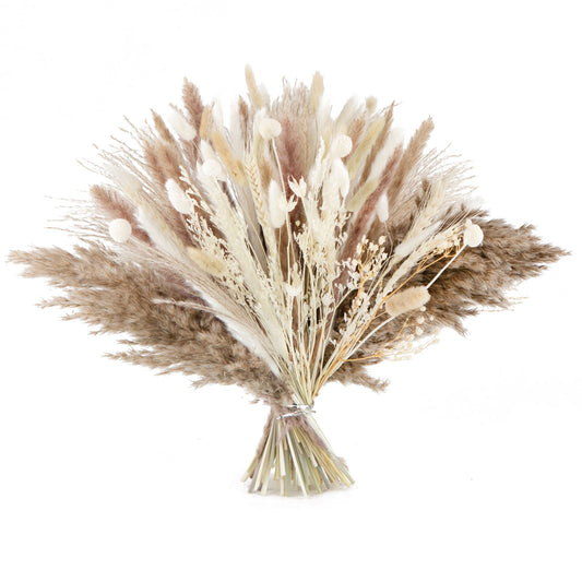 Boho Trockenblumenstrauß Natur Weiß mit Pampasgras für Vase